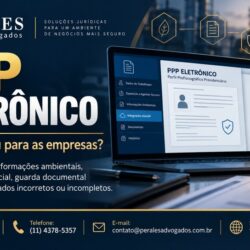 PPP eletrônico
